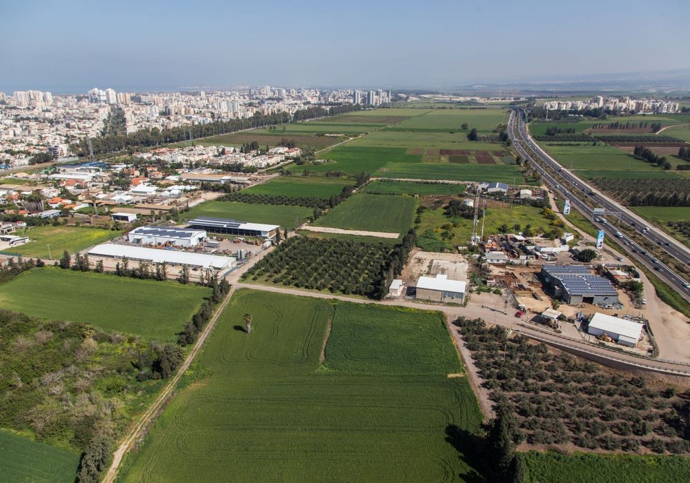 קדמת ביאליק