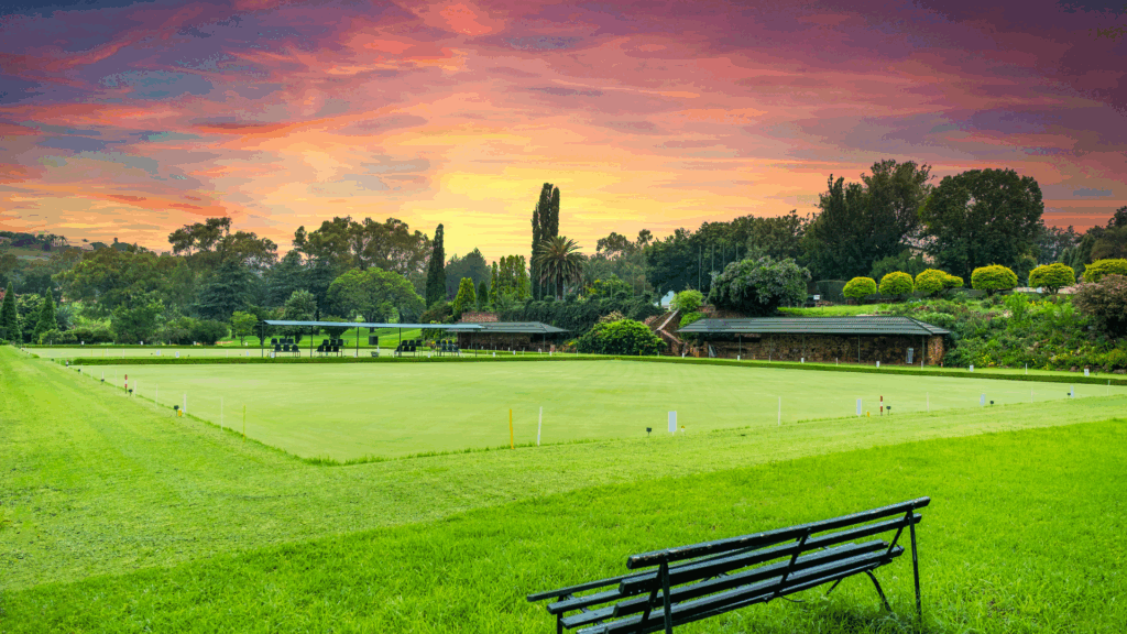 קדמת ביאליק